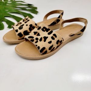 Matisse Leather Fur Leopard Print Sandals